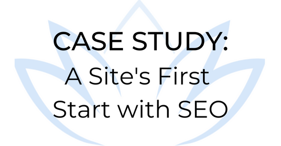 Cover image for case study a site's first start with seo